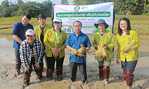 อธิการบดีมหาวิทยาลัยราชภัฏลำปาง เป็นประธานเปิดโครงการปลูกข้าวอินทรีย์ เพื่อชีวีปลอดโรค