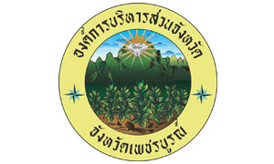 องค์การบริหารส่วนจังหวัดเพชรบูรณ์ รับสมัครพนักงานจ้าง จำนวน 44 อัตรา ตั้งแต่ 8 - 19 ก.ค. 62