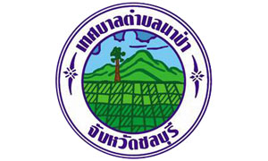 เทศบาลตำบลนาป่า รับสมัครพนักงานจ้าง จำนวน 19 อัตรา ตั้งแต่บัดนี้ถึง 20 ส.ค. 62