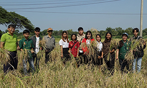 ราชมงคลสุวรรณภูมิสืบสานประเพณีปลูกข้าวตามวิถีสุวรรณภูมิ