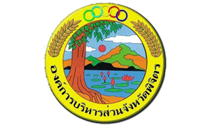 องค์การบริหารส่วนจังหวัดพิจิตร รับสมัครพนักงานจ้าง จำนวน 6 อัตรา สมัครตั้งแต่วันที่ 3 - 12 ก.พ. 63