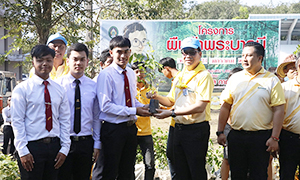 มรส. ปลูกป่า 1 ปี 1,200 ต้น ... หวังเพิ่มพื้นที่สีเขียว สร้างผืนป่าพระบารมี
