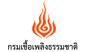 กรมเชื้อเพลิงธรรมชาติ รับสมัครสอบเข้ารับราชการ จำนวน 12 อัตรา สมัครทางอินเทอร์เน็ต ตั้งแต่วันที่ 26 ก.พ. - 17 มี.ค. 63