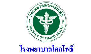 โรงพยาบาลโคกโพธิ์ รับลูกจ้างเหมาบริการ จำนวน 9 อัตรา สมัครตั้งแต่วันที่ 14 - 18 ธันวาคม 2563