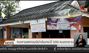 รมว. แรงงาน ห่วงใยลูกจ้างชุมนุมสหกรณ์ปาล์มน้ำมันตกงาน เร่งประกันสังคมเยียวยา