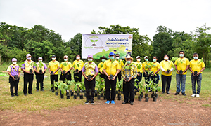 ราชมงคลธัญบุรี รวมใจไทย ปลูกต้นไม้ เพื่อแผ่นดิน