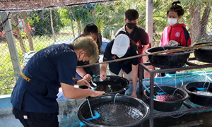 มทร.สุวรรณภูมิ สืบทอดตามพระราชปณิธาน “การเลี้ยงปลาแรดเพื่อการอนุรักษ์”