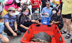 ม.พะเยา จัดกิจกรรม CSR ปล่อยสัตว์ทะเล ‘From the mountains to the sea’ศูนย์วิจัยและพัฒนาการเพาะเลี้ยงสัตว์น้ำชายฝั่งระยอง