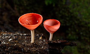 ศุกร์ 13 มีนาคม พบบทสรุปของการเดินทาง นิทรรศการภาพถ่ายของนักศึกษาโฟโต้เพาะช่าง