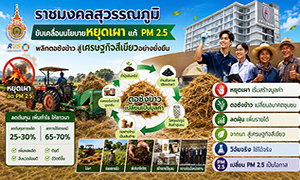 ราชมงคลสุวรรณภูมิ บูรณาการวิจัย-นวัตกรรม พลิก &ldquo;ตอซังข้าว&rdquo; ลด PM 2.5 สร้างรายได้ใหม่ให้เกษตรกร