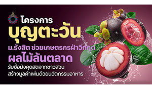 โครงการ &ldquo;บุญตะวัน&rdquo; ม.รังสิต ช่วยเกษตรกรฝ่าวิกฤต &ldquo;ผลไม้ล้นตลาด&rdquo;  รับซื้อมังคุดจากชาวสวน สร้างมูลค่าเพิ่มด้วยนวัตกรรมอาหาร